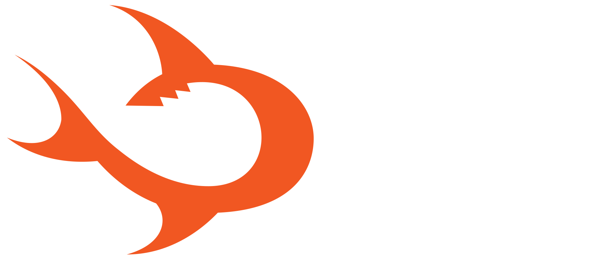 light logo